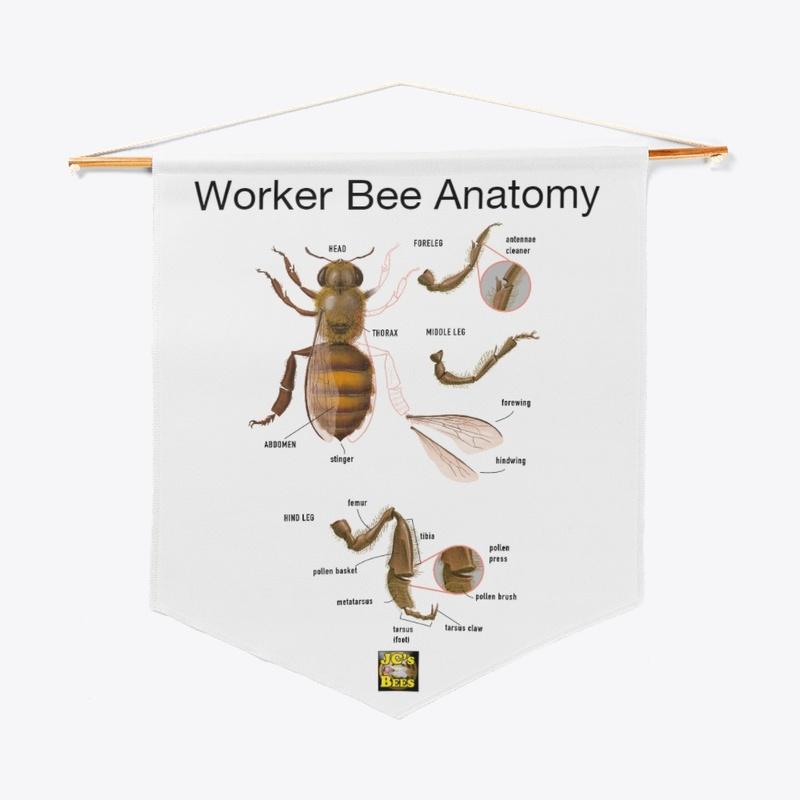 Worker Bee Anatomy Pennant