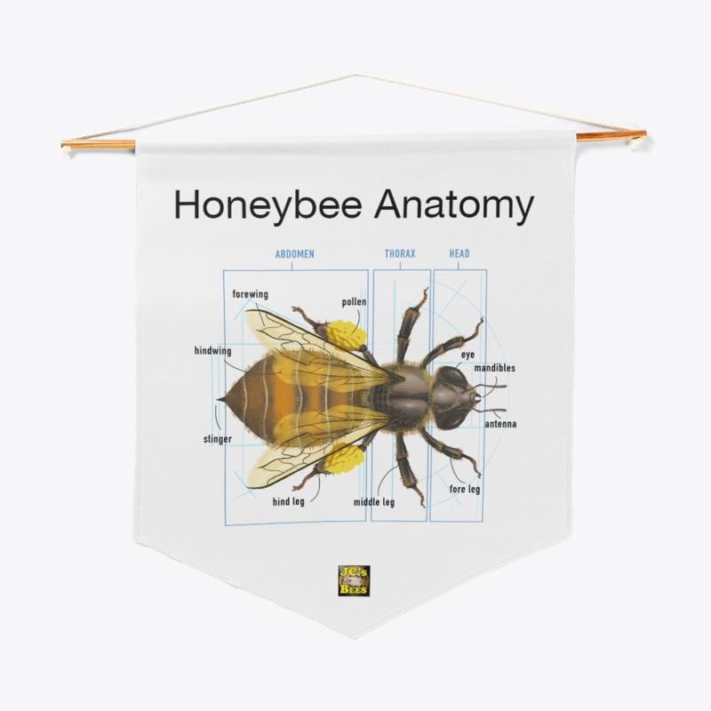 Honeybee Anatomy Pennant